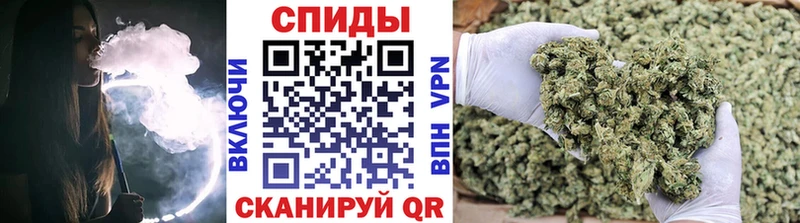 Бутират буратино  блэк спрут ONION  Кедровый 