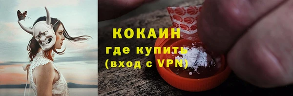 прущие грибы Кинешма