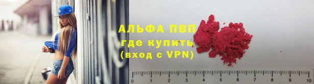 тгк Касимов