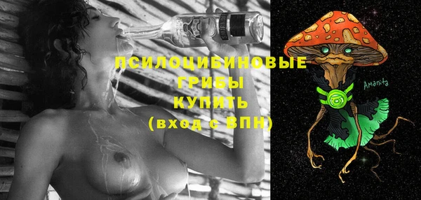 хмурый Киреевск