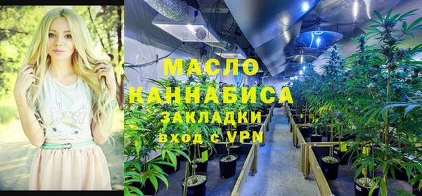 прущие грибы Кинешма