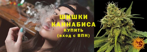 тгк Касимов