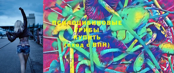 тгк Касимов