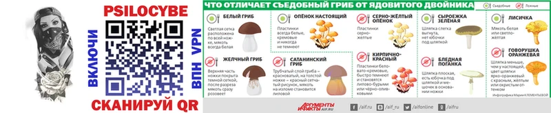 Псилоцибиновые грибы ЛСД  Кедровый 